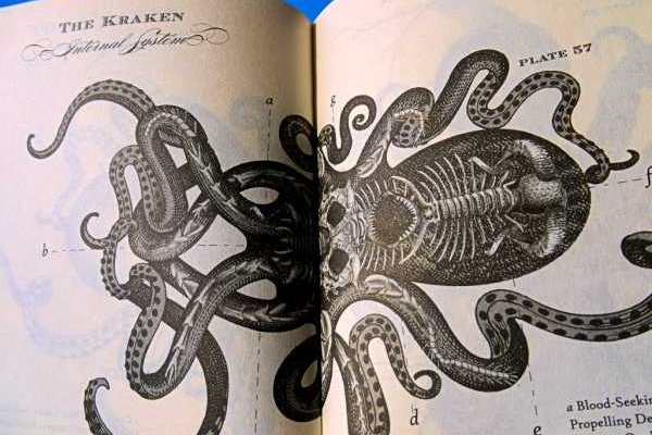 Ссылка для входа на сайт kraken