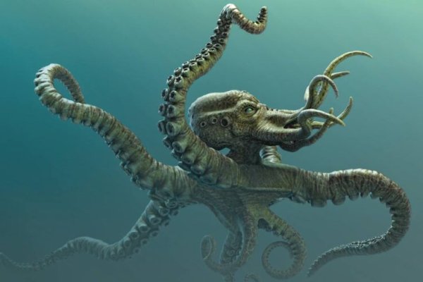 Kraken почему не работает