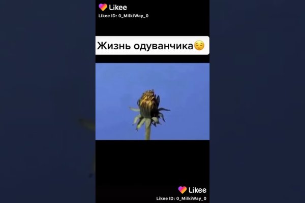 Ссылки на даркнет